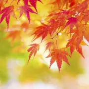 Fall Checklist for Winterizing Your Home fall checklist for winterizing your home