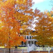 5 Best Home Heating Tips for Fall 5 Best Home Heating Tips for Fall