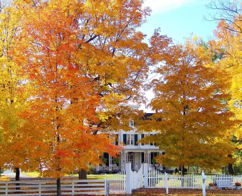 5 Best Home Heating Tips for Fall