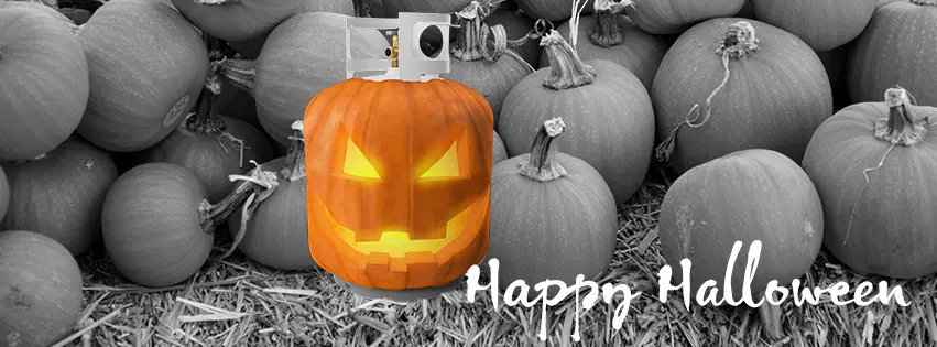 Prevent Your Heating Bill From Haunting You: Energy Efficiency Tricks and Treats