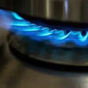 5 Most Popular Propane Gas Appliances 5 Most Popular Propane Gas Appliances