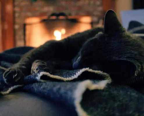 Benefits of Propane Gas Logs Over Traditional Firewood For Indoor Fireplaces
