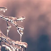 Preparing Your Home for Propane Delivery Preparing Your Home for Propane Delivery