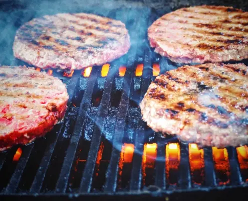 Meat Grilling - Propane or Charcoal Grill
