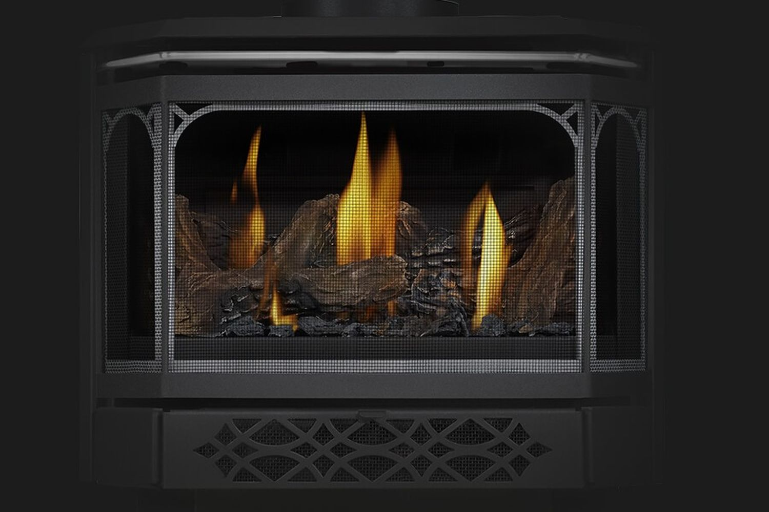 NAP Hal1 Napoleon Haliburton stove closeup 2