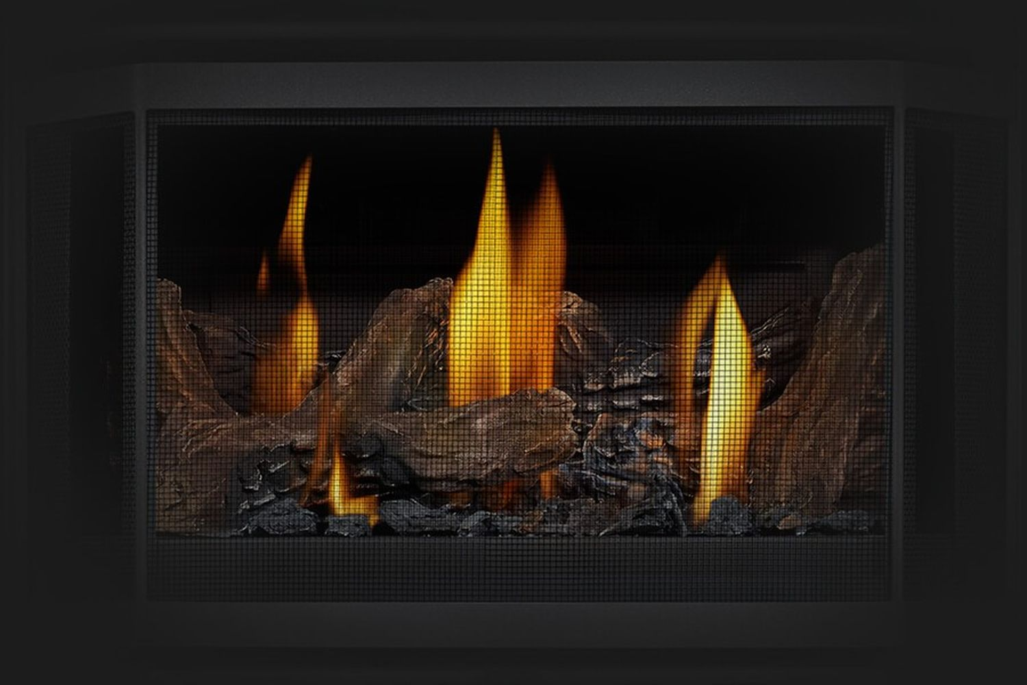 NAP Hal2 Napoleon Haliburton Stove Closeup