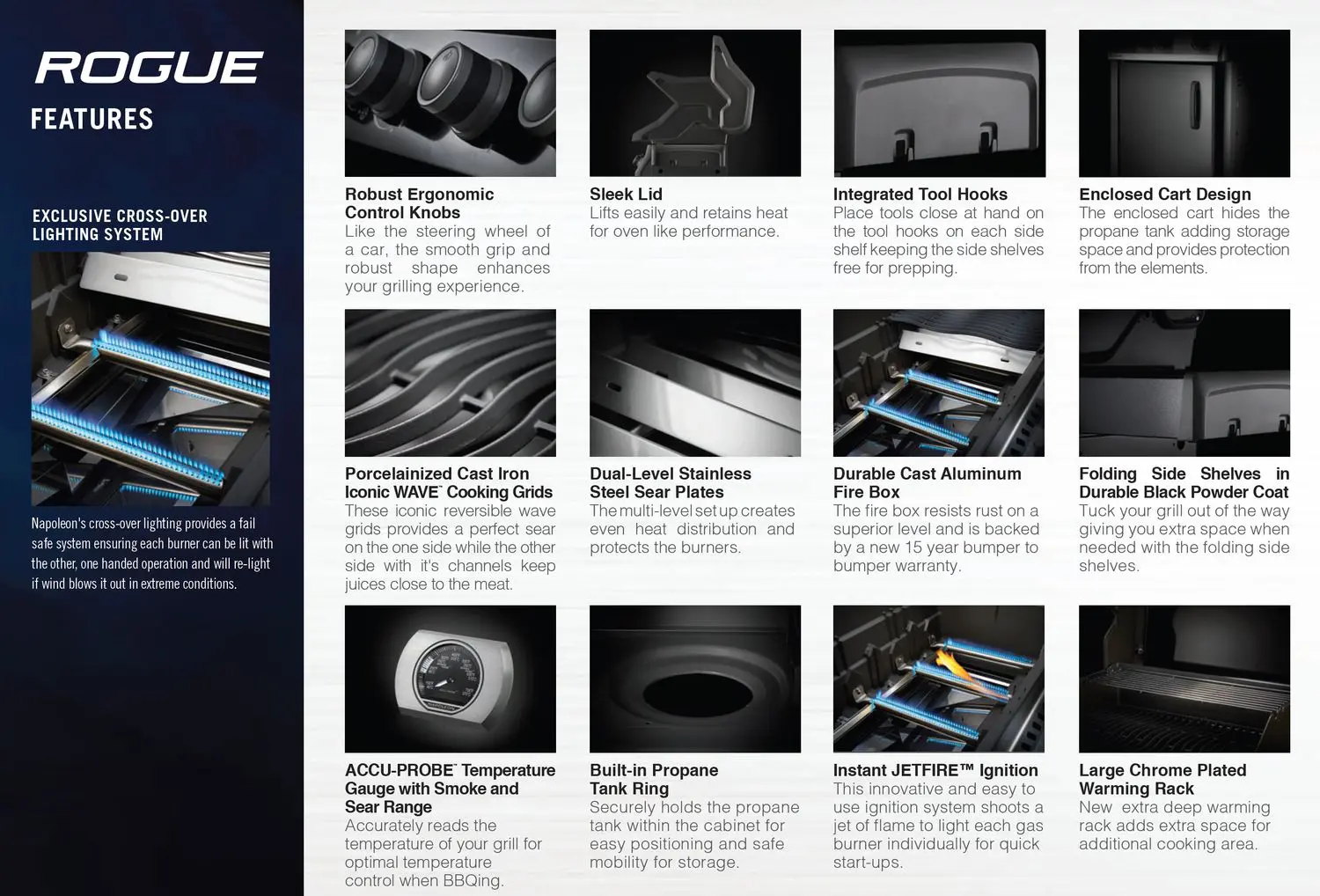 Napoleon Rogue features