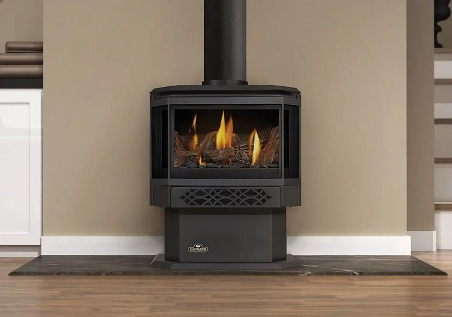 Napoleon Haliburton stove wide angle