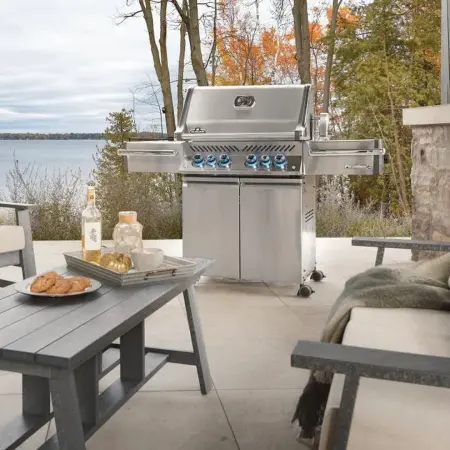 Napoleon Prestige 500 on Patio