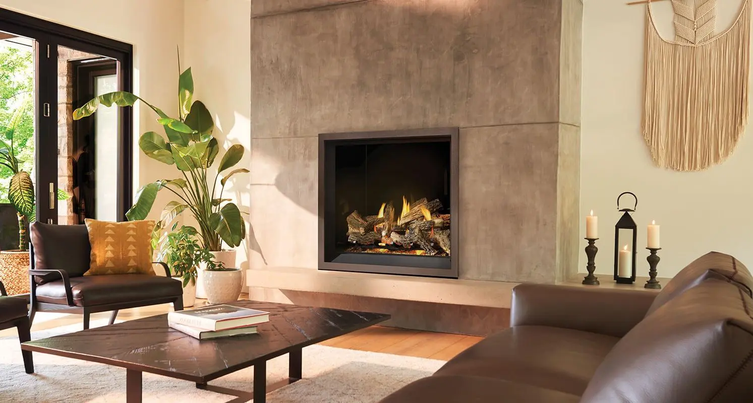 NAPX364 Napoleon X36 modern living room