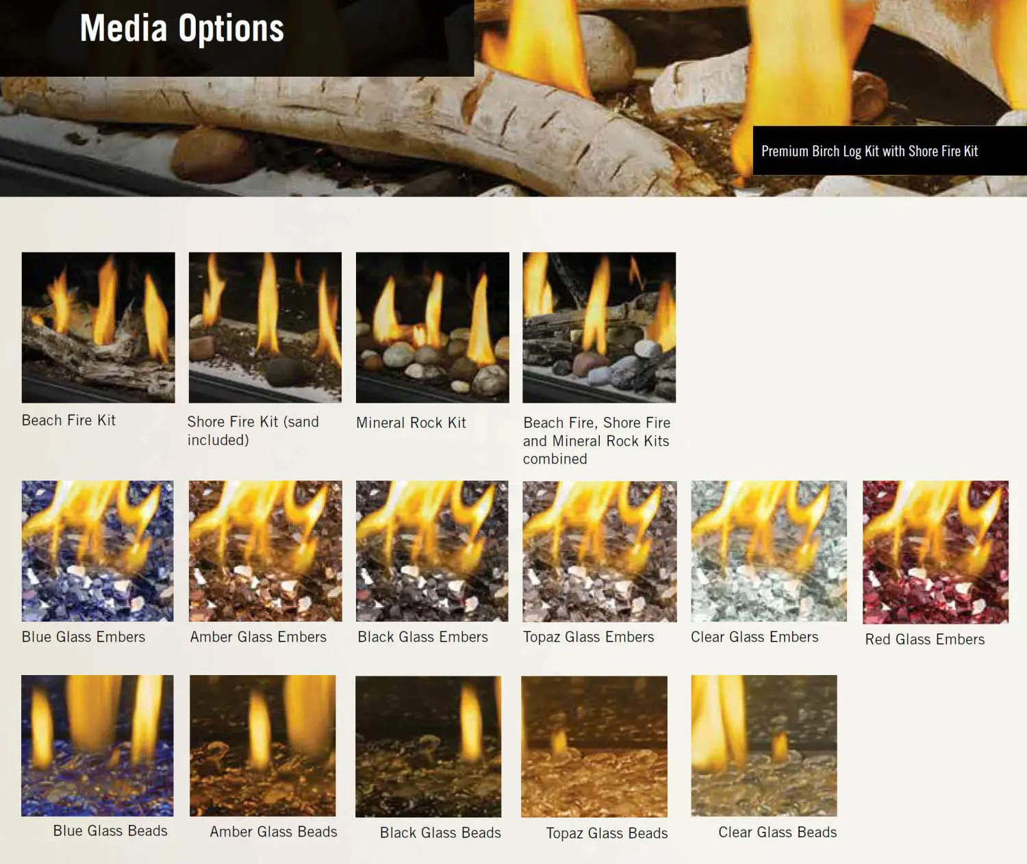 NAP-BLmedia Napoleon Ascent Linear media options