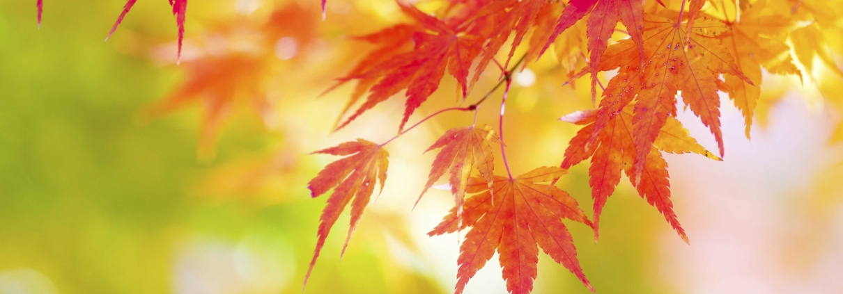 fall checklist for winterizing your home