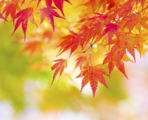 fall checklist for winterizing your home