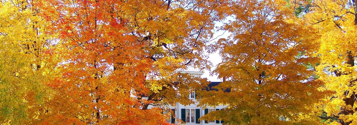 5 Best Home Heating Tips for Fall