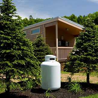 EcoGen Series Propane Gas