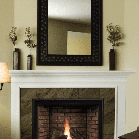White Mountain Hearth (Empire) Tahoe 36-Inch Clean Face Direct Vent See Through Propane Fireplace [DVCP36SP30P] (SAK46091)