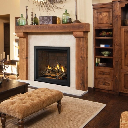 Napoleon Fireplace X36 wood