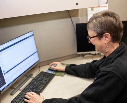 Employee looking at computer screen